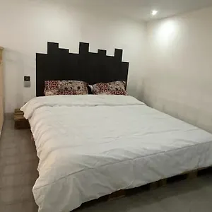 Avec Mezzanine Appartement